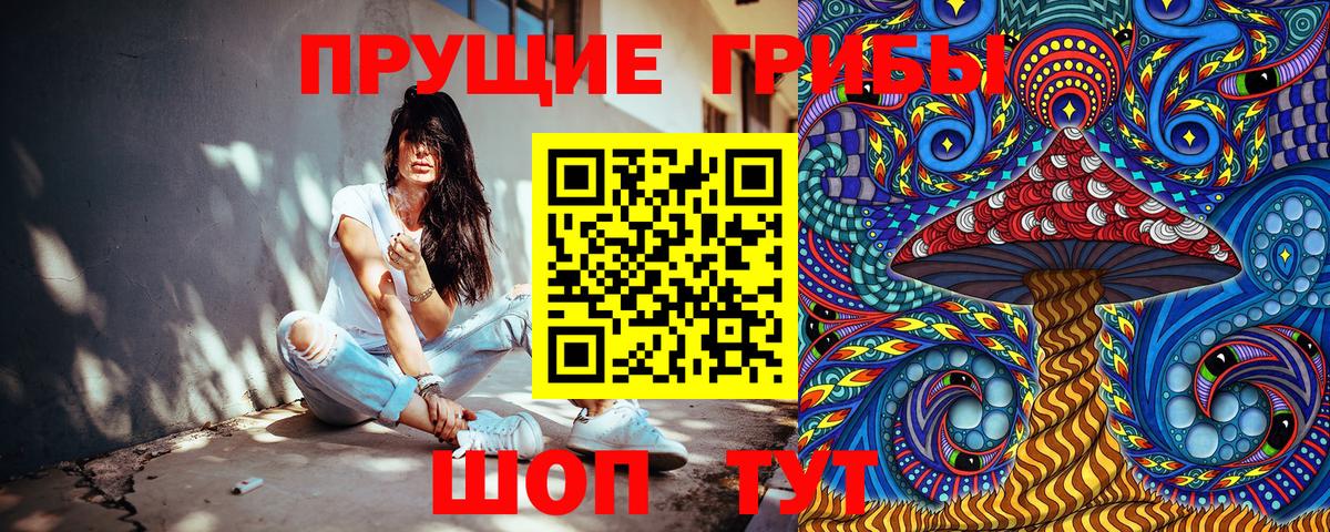 Кашира  Псилоцибиновые грибы мухоморы  Вход с VPN  Галлюциногенные грибы Magic Shrooms 